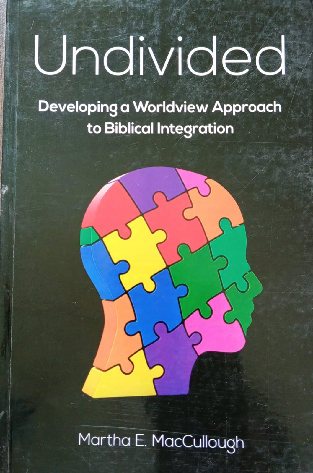 Undivided - Developing a Worldwide Approach to Bibilical Integration